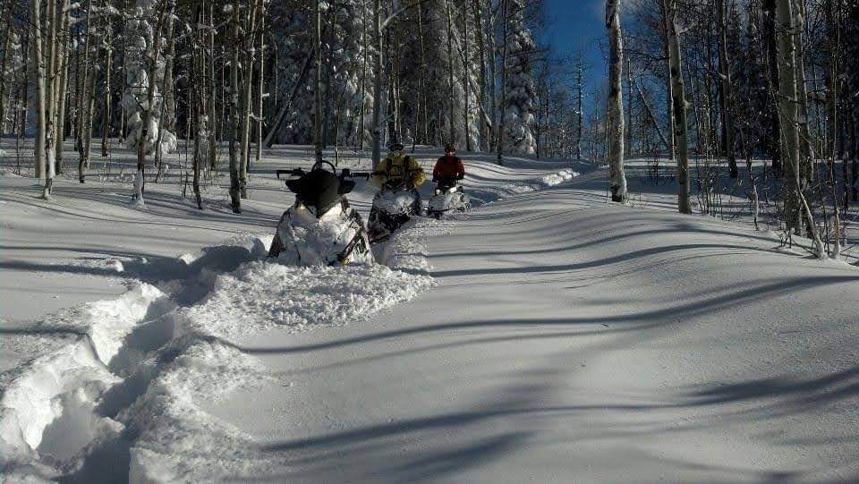 contact us | Elk Mountain Adventures | Leadville, CO