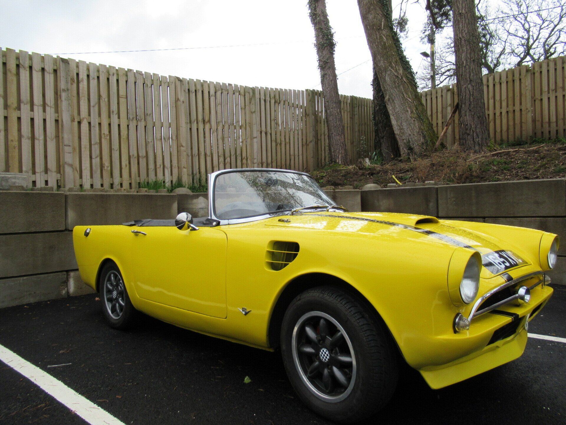 Sunday Worship Sunbeam Tiger
