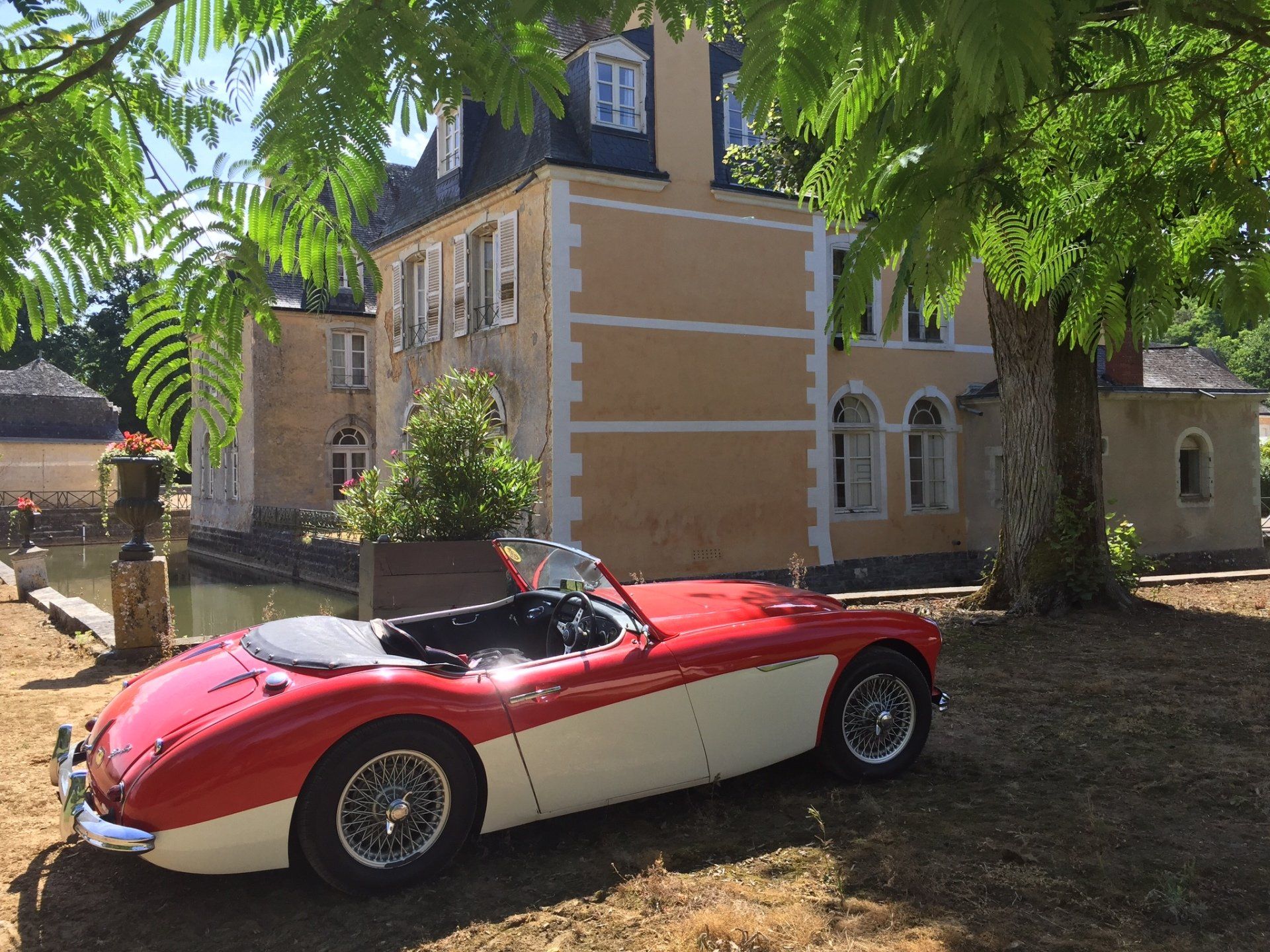 Austin Healey Le Mans 24 Hours