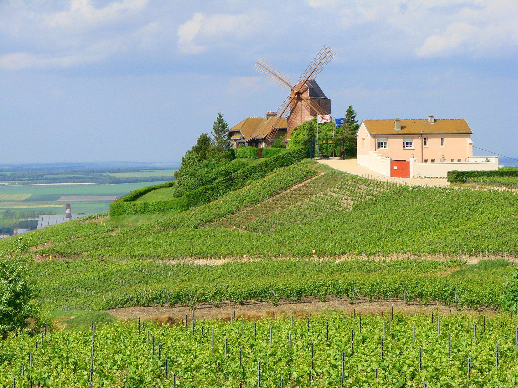 Mumm Champagne Windmill Montagne de Reims