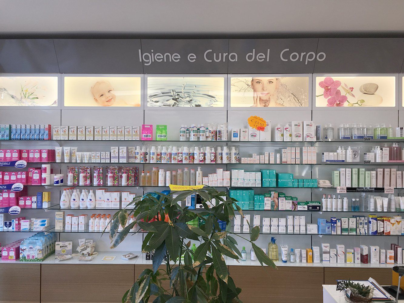 Farmacia Olimpica Tricase