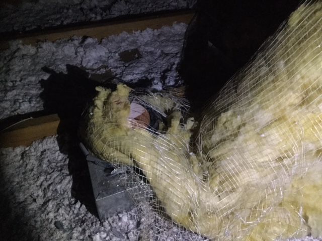 A close up of a piece of insulation in an attic.