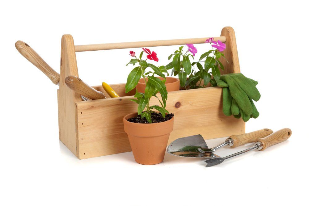 Gardener Tools And Plants — Avoca Garden Centre in Bundaberg, QLD