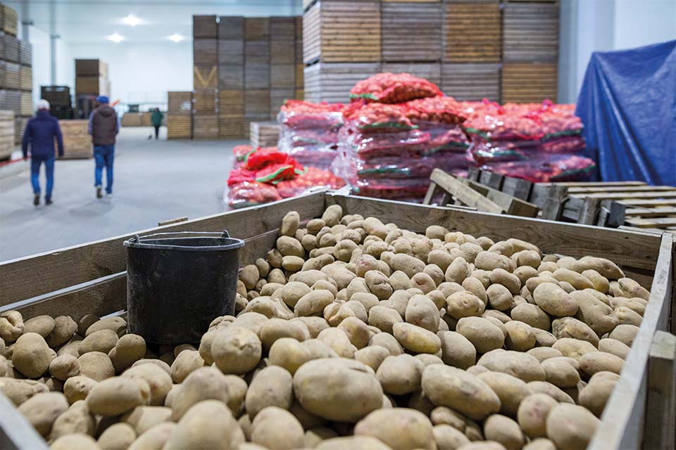 un entrepôt rempli de beaucoup de pommes de terre et de sacs d'oignons.