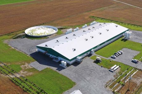 Une vue aérienne d'un grand bâtiment agricole avec un toit vert