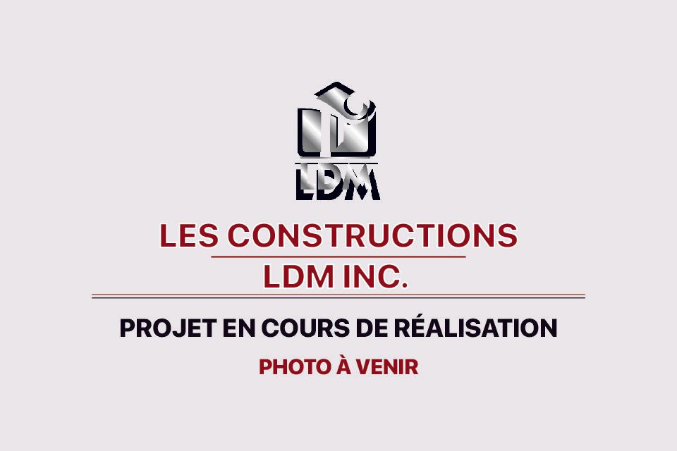 Le logo des constructions ldm inc. est affiché sur un fond blanc.