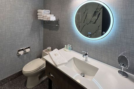 Une salle de bain avec WC, lavabo, miroir et serviettes.