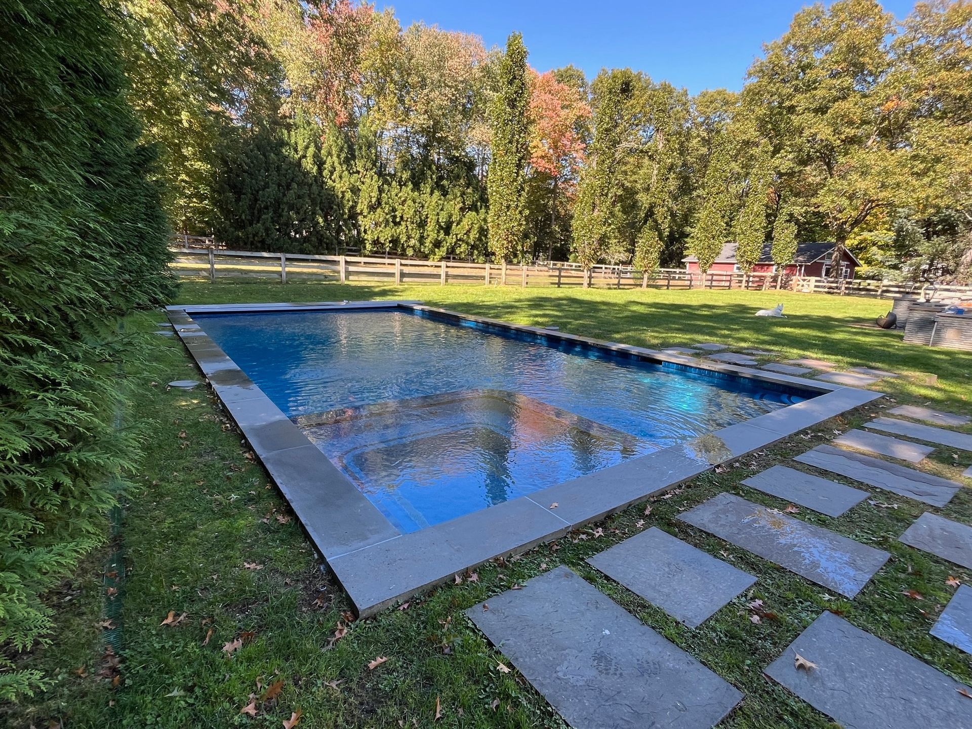 A large swimming pool is surrounded by grass and trees in a backyard.
