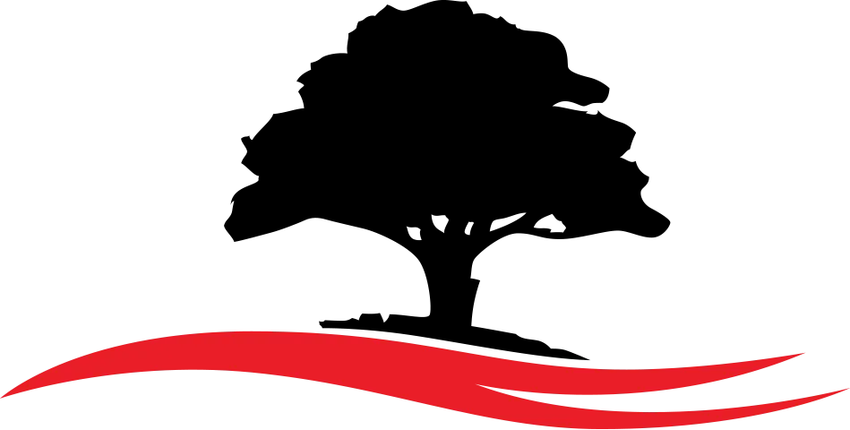 Logo Icon