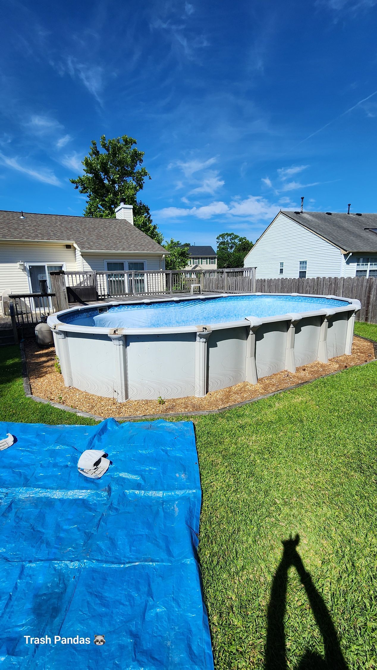 A swimming pool is being built in a backyard.