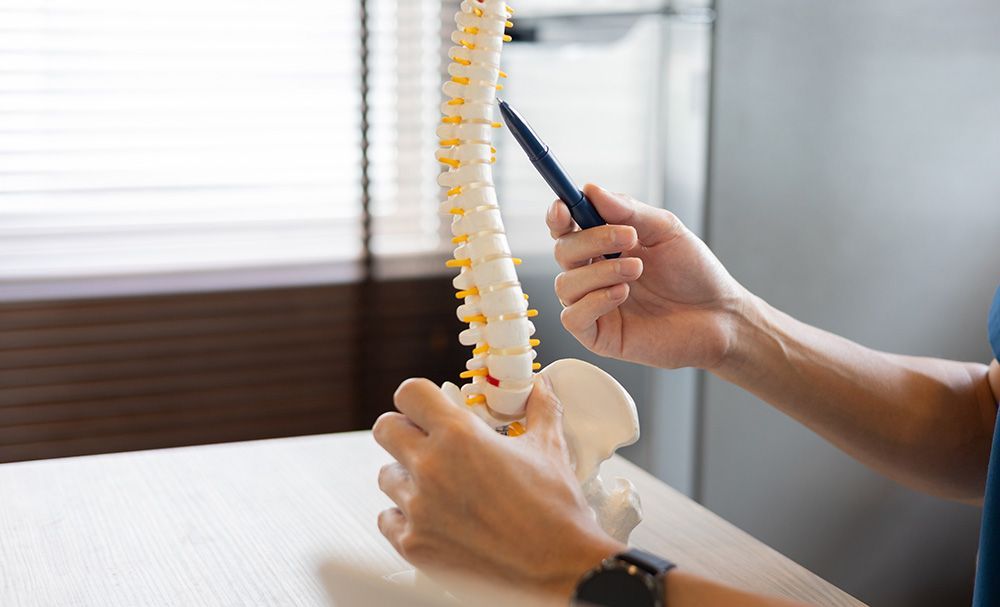 Chiropractic Adjustments