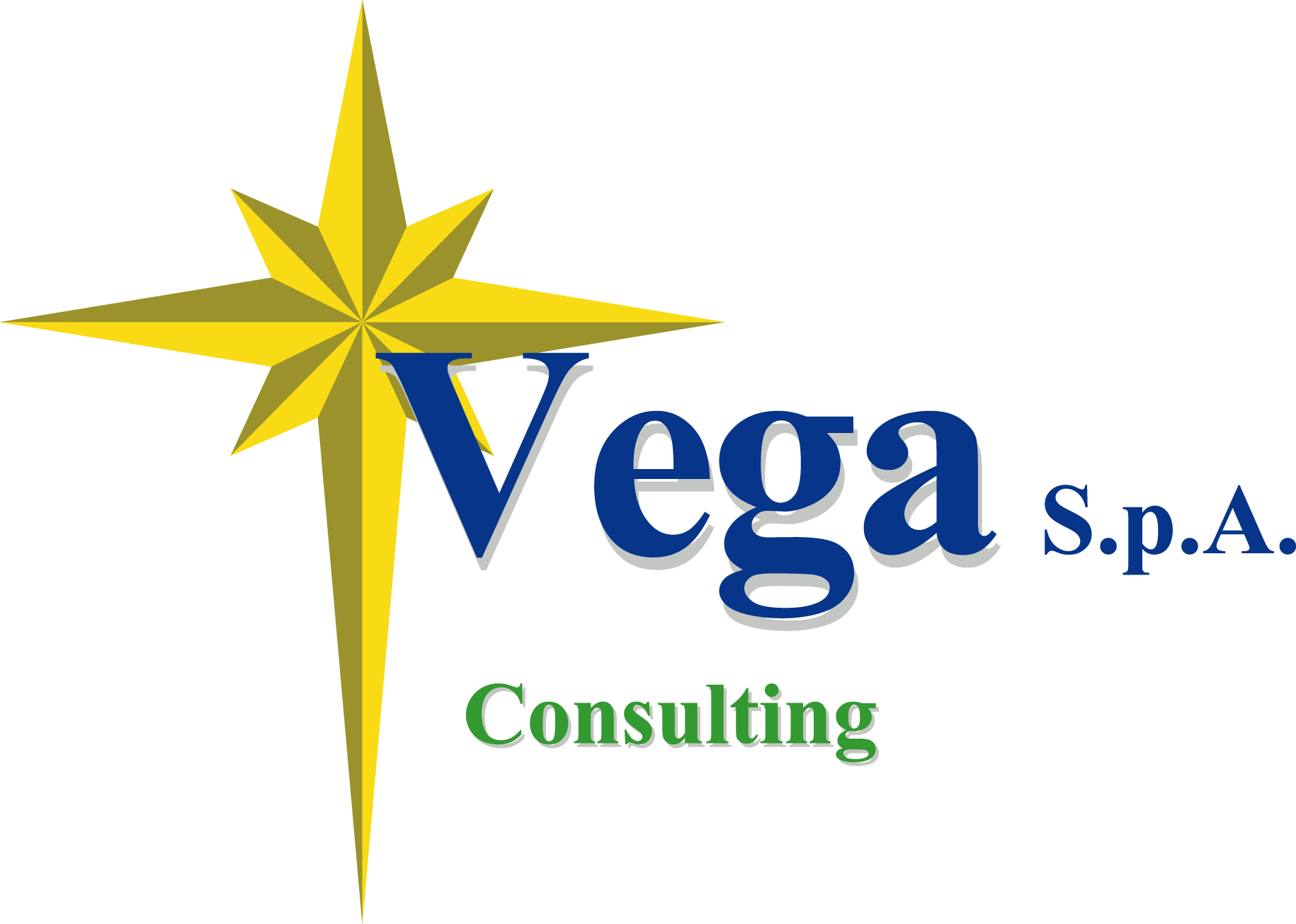 Vega S.p.A.