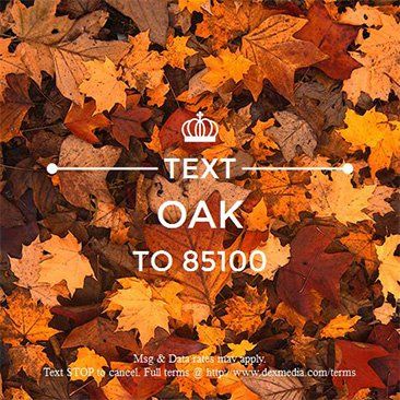 smsMarketingGraphic_type7 smsMarketingGraphic_type7