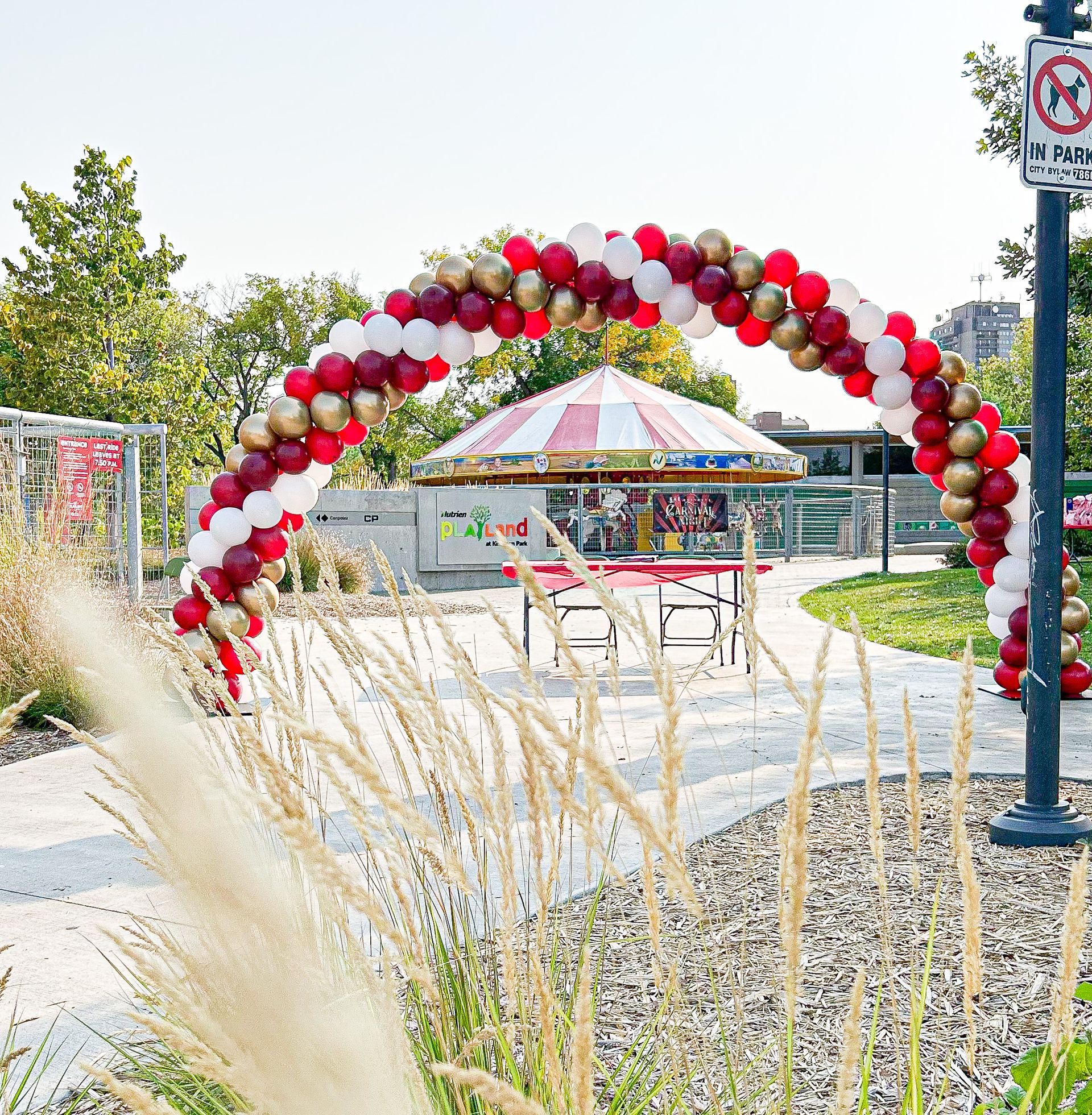A red white and gold balloon arch in a park