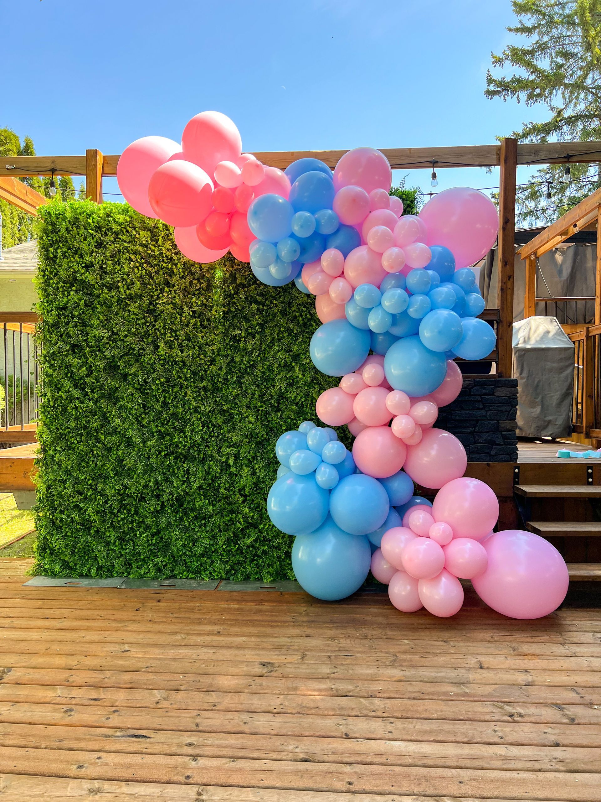 A bunch of pink and blue balloons are sitting in front of a green wall.