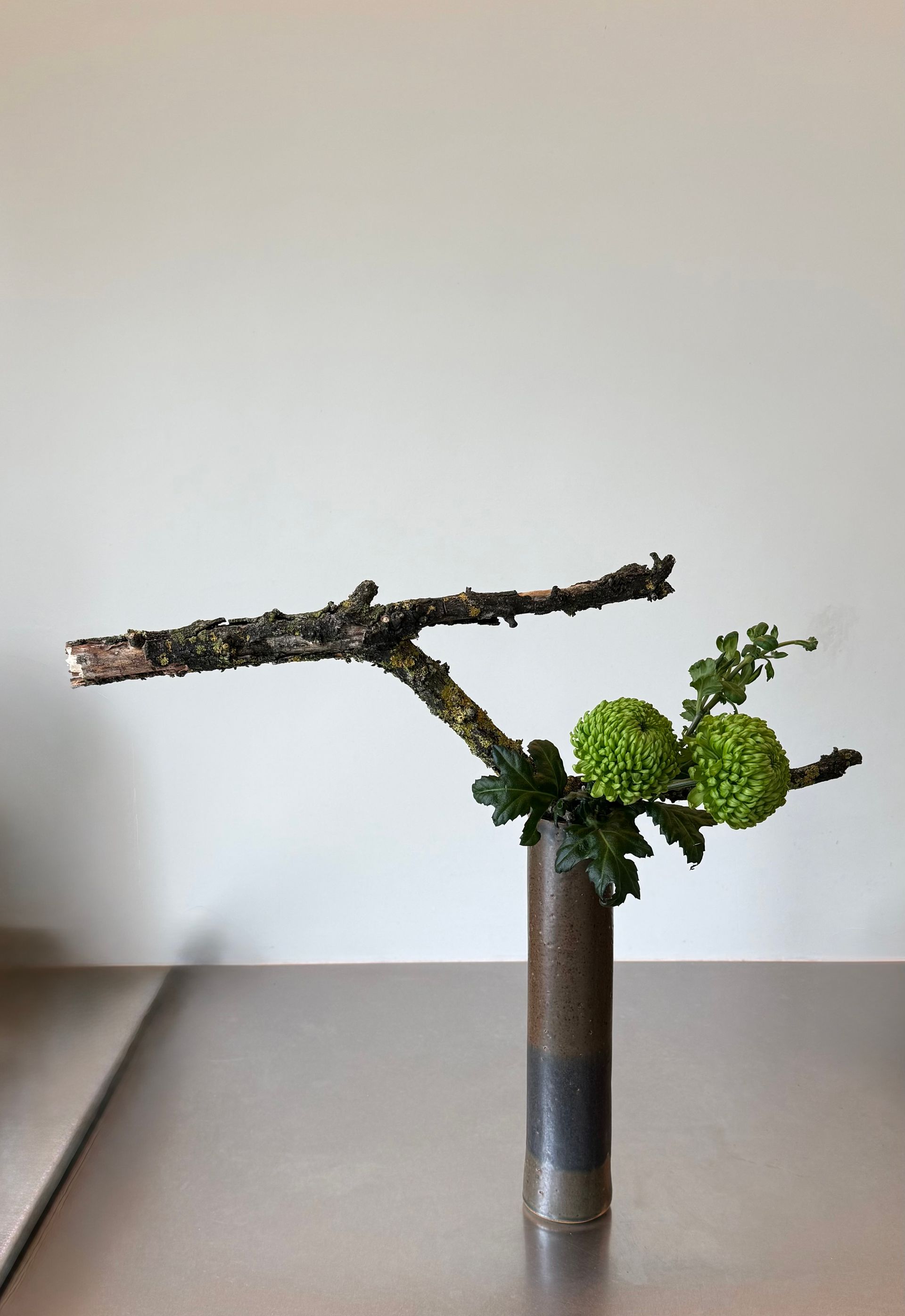 Ikebana bloemstuk in een keramische vaas. Met een verweerde tak en groene, bolvormige bloemen tegen een witte achtergrond.