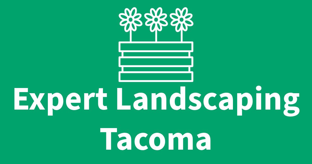 Transforming Your Outdoor Space Expert Landscaping