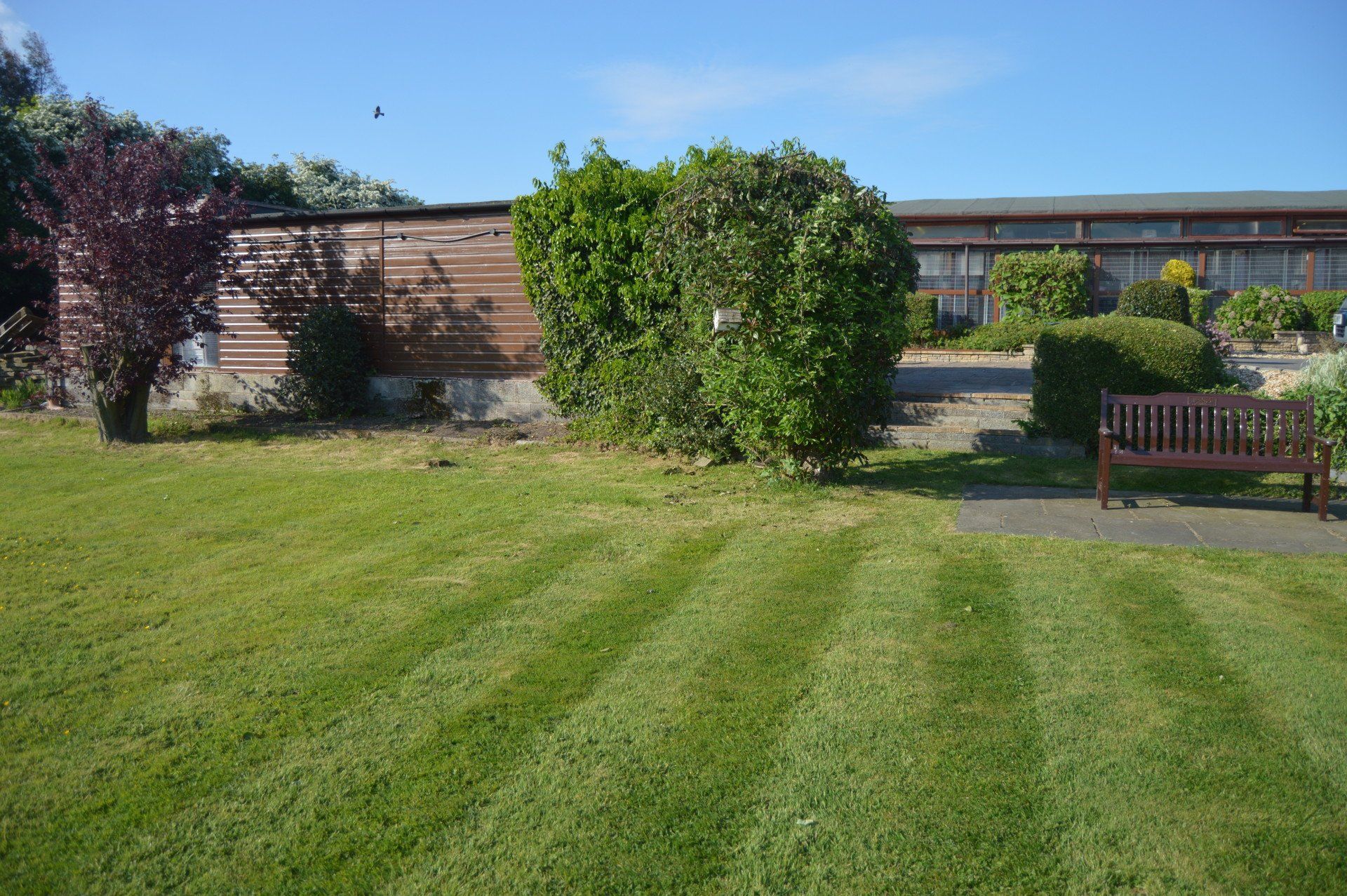 The Cattery photo example 2