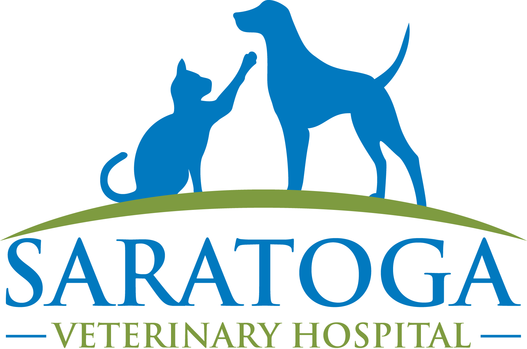 Saratoga Veterinary Hospital | San Jose, CA | Vet Clinic | Veterinarian  Services