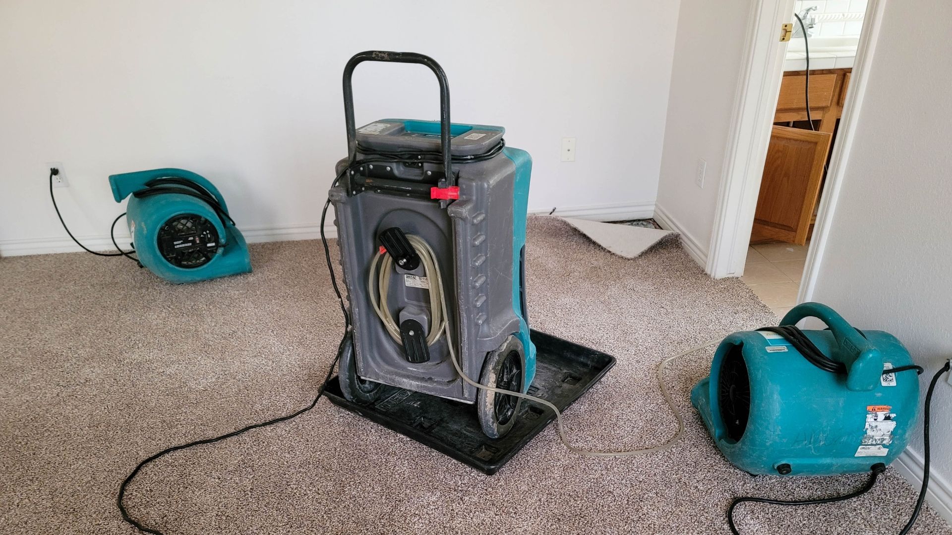 Dehumidifier and two air movers in a room with tan carpet, likely after water damage.