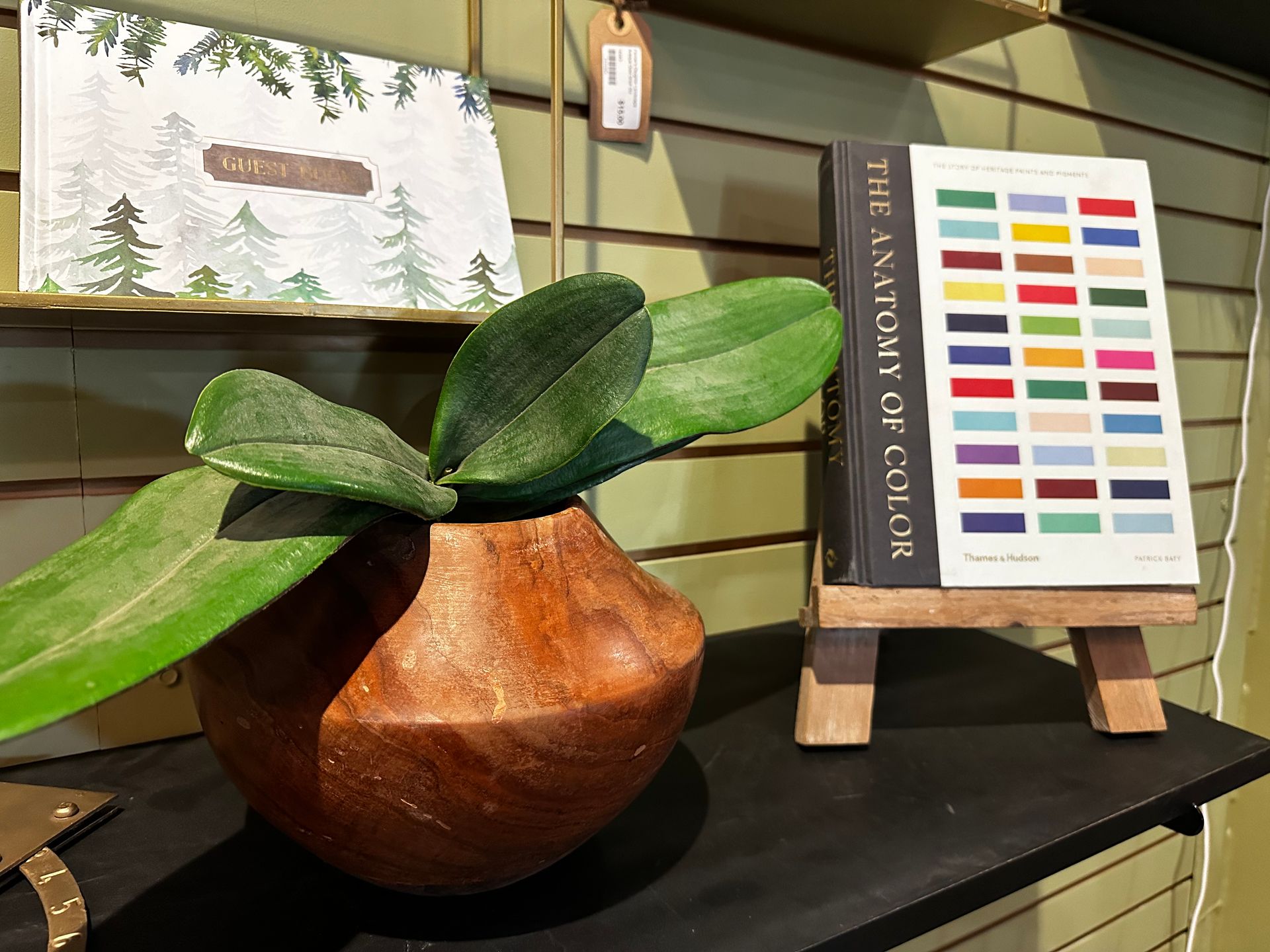 A book titled the anatomy of color sits on a shelf next to a potted plant