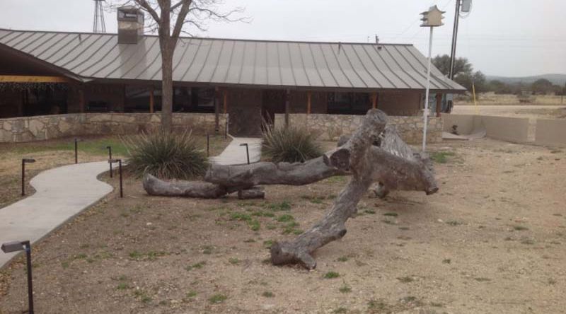 A large log is laying in the dirt in front of a building.