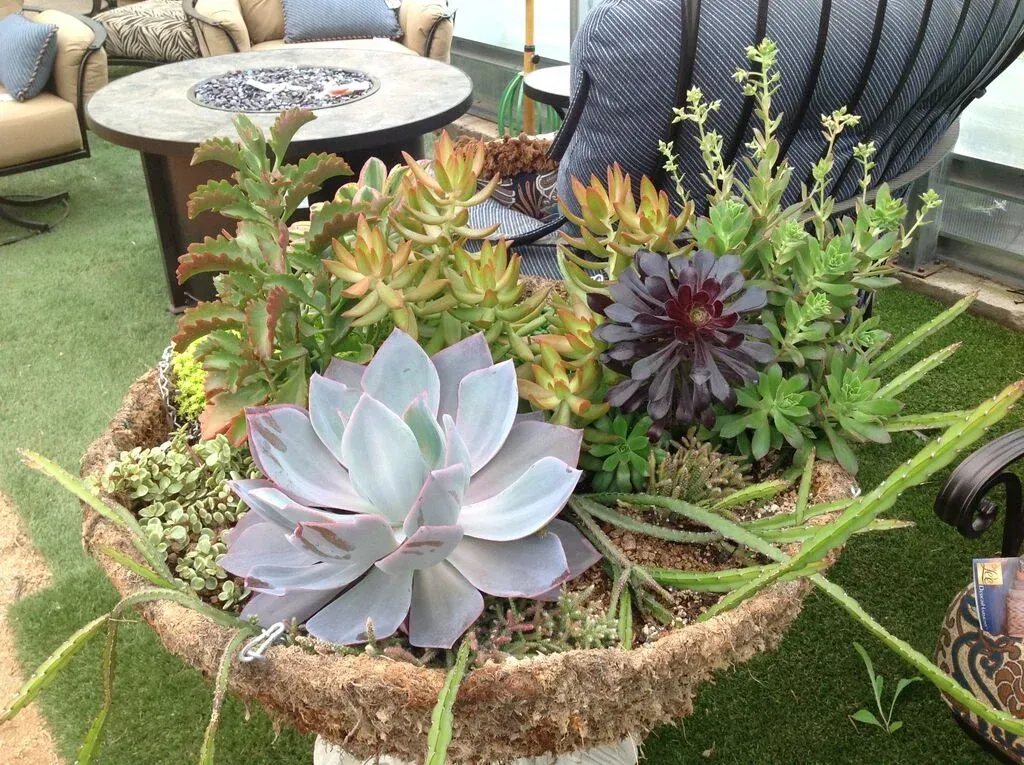 A planter filled with lots of different types of plants and flowers.