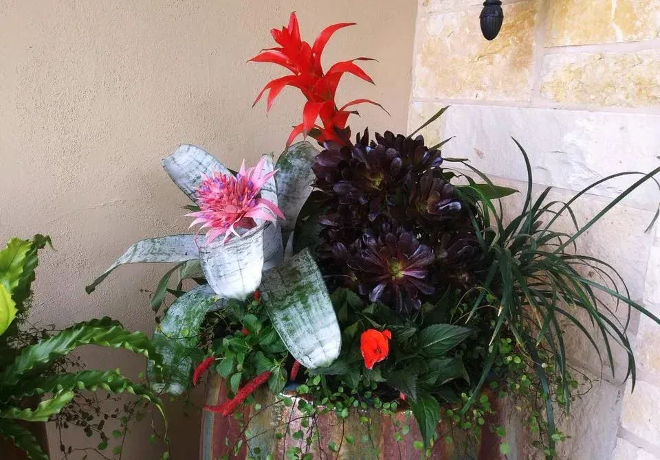 A planter filled with lots of different types of flowers and plants