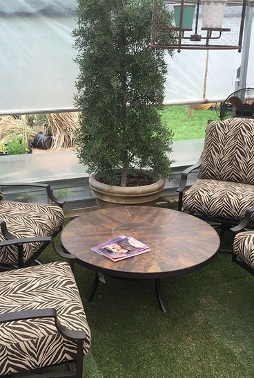 A patio set with chairs , a table and a potted plant.