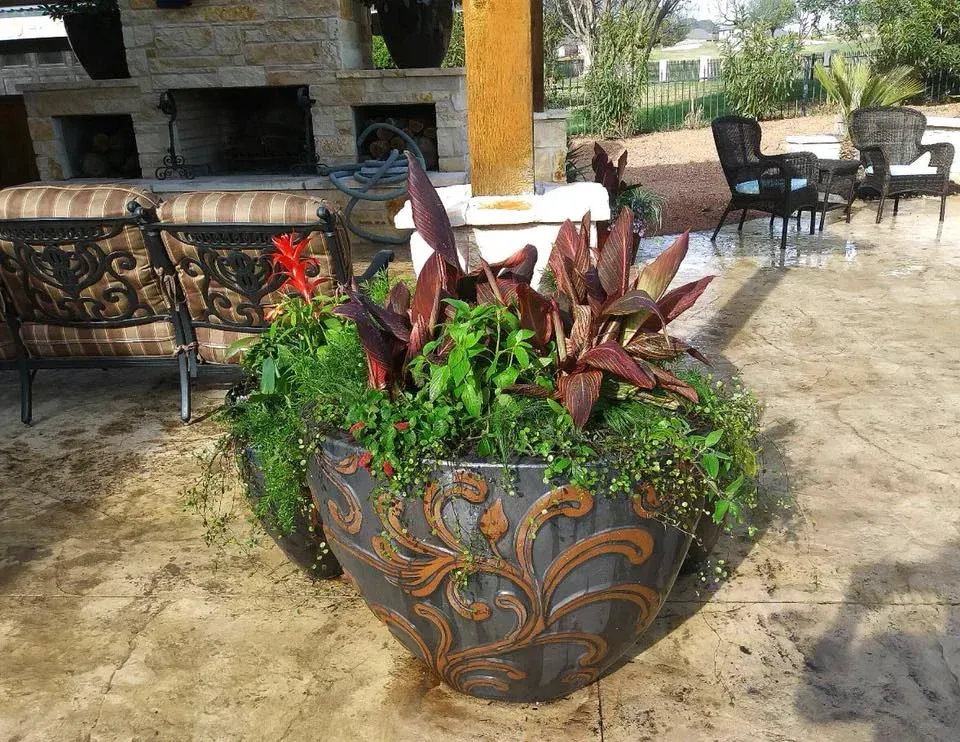 A large planter filled with flowers sits on a patio