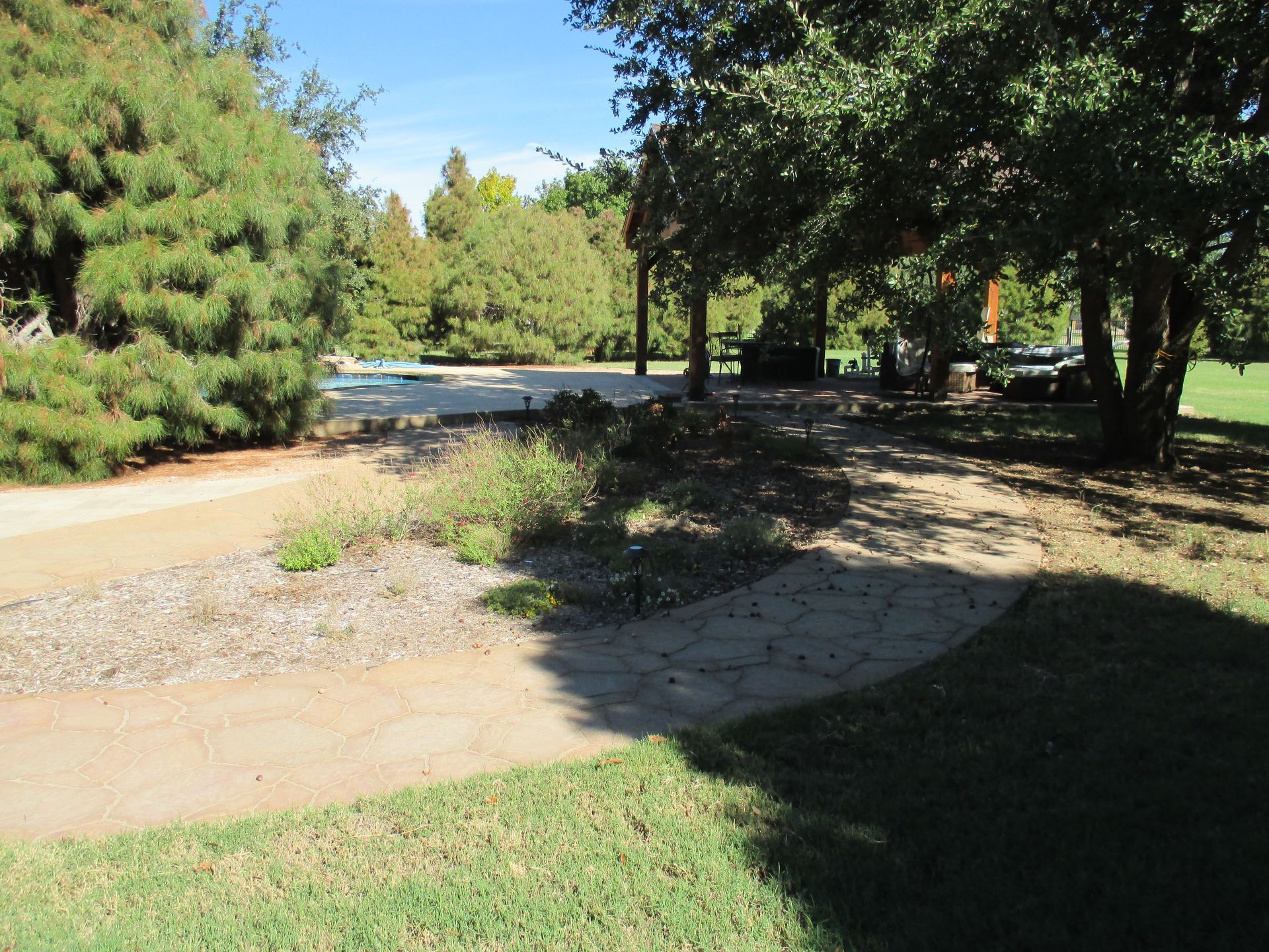 A path in a park surrounded by trees and grass on a sunny day.