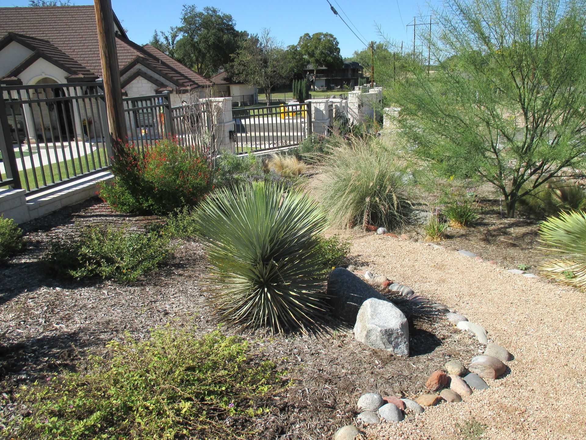 A garden with rocks and plants in front of a house