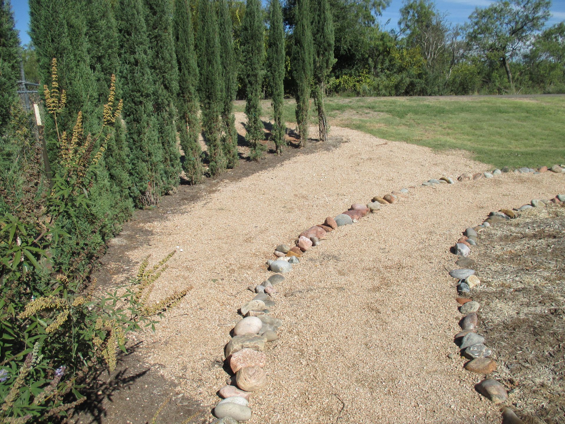 A gravel path with a row of trees on the side