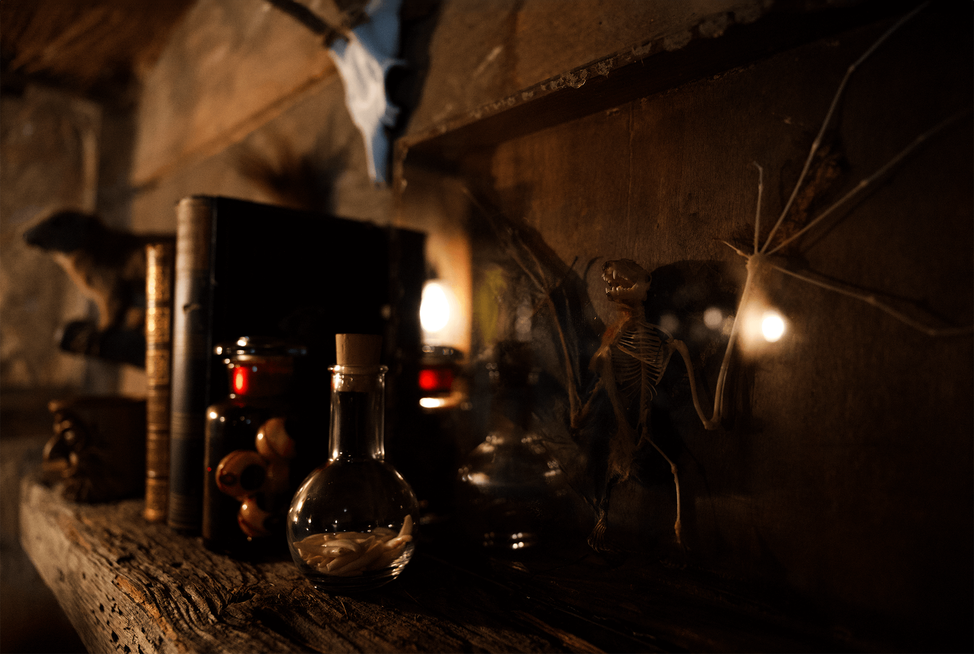 Ein Regal mit Flaschen und Büchern darauf in einem dunklen Raum.