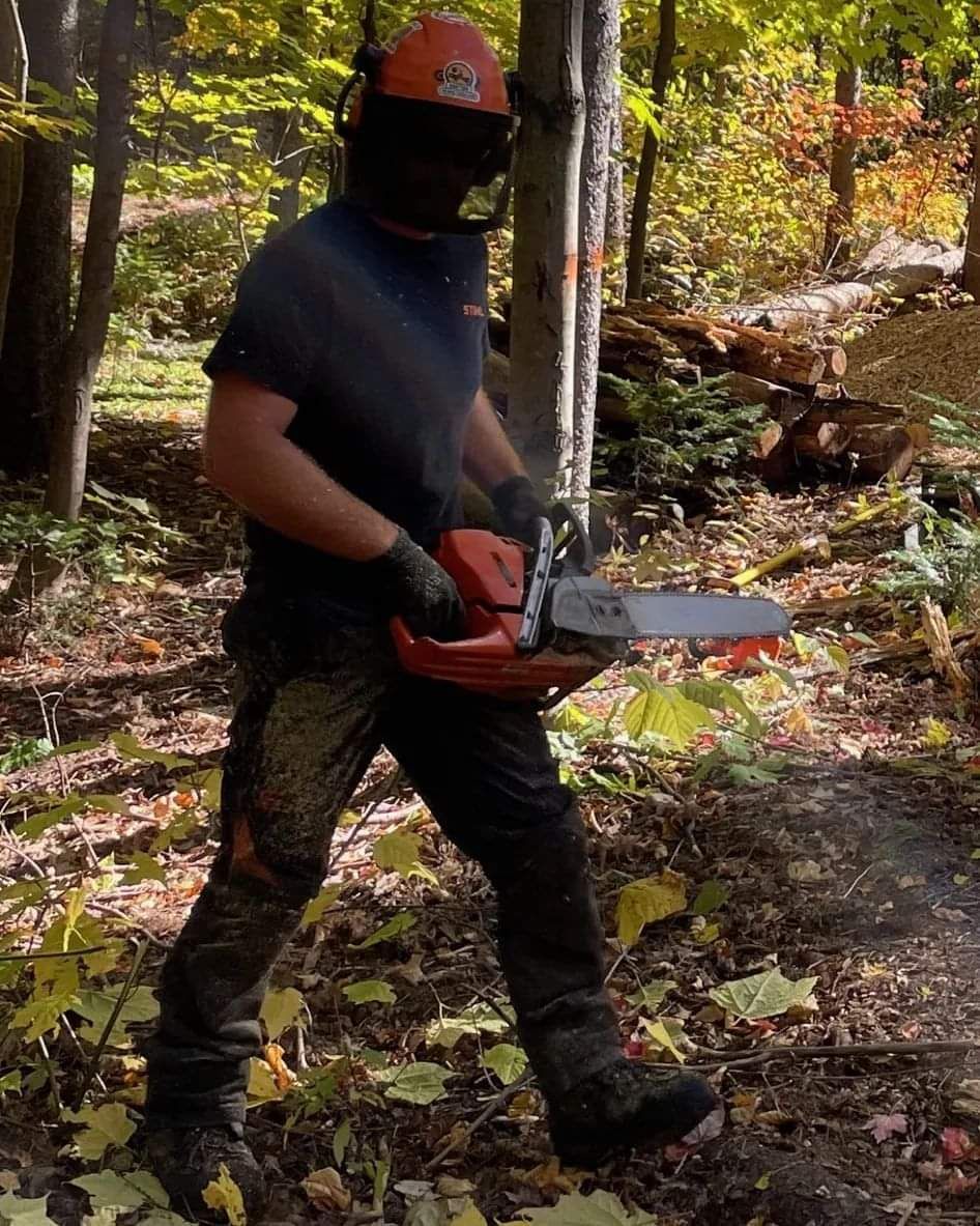 Un homme portant un casque utilise une tronçonneuse dans les bois