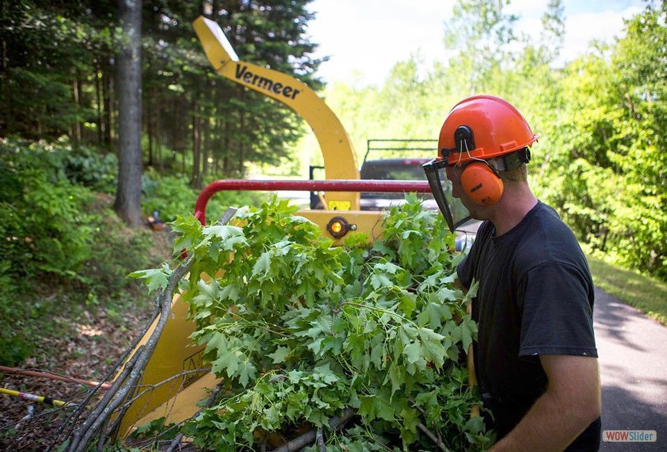 Un homme portant un casque et des cache-oreilles transporte un tas de branches.
