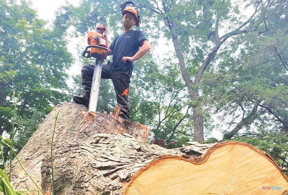 Un homme se tient debout sur une souche d'arbre avec une tronçonneuse.