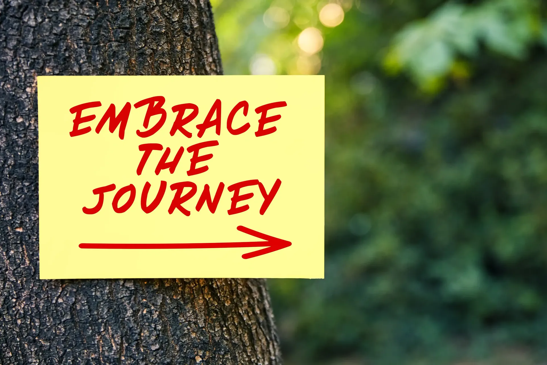tree in the forest with a sticky note that says embrace the journey.