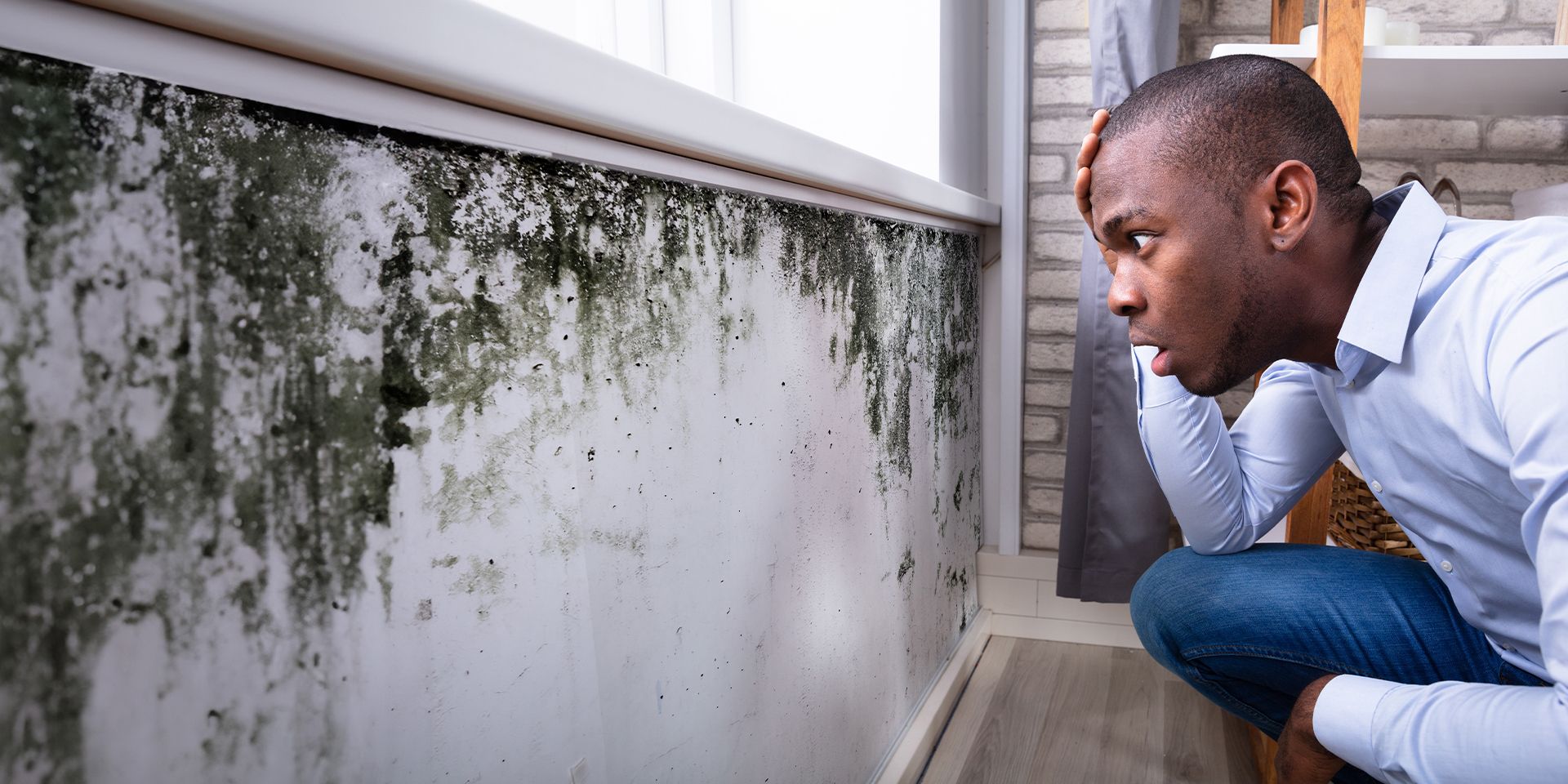 Mold remediation for residential spaces