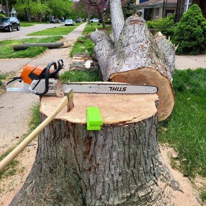 Tree Removal — San Antonio, TX — Steel Roots Tree Services