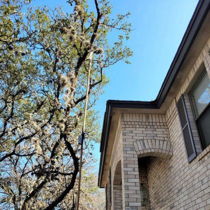 Tree Pruning — San Antonio, TX — Steel Roots Tree Services
