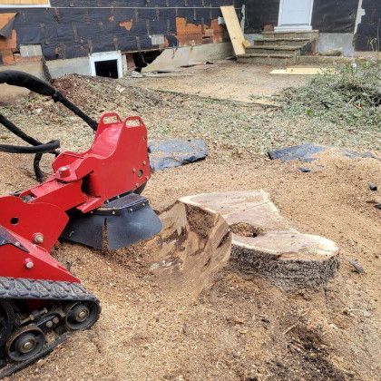 Stump Grinding — San Antonio, TX — Steel Roots Tree Services