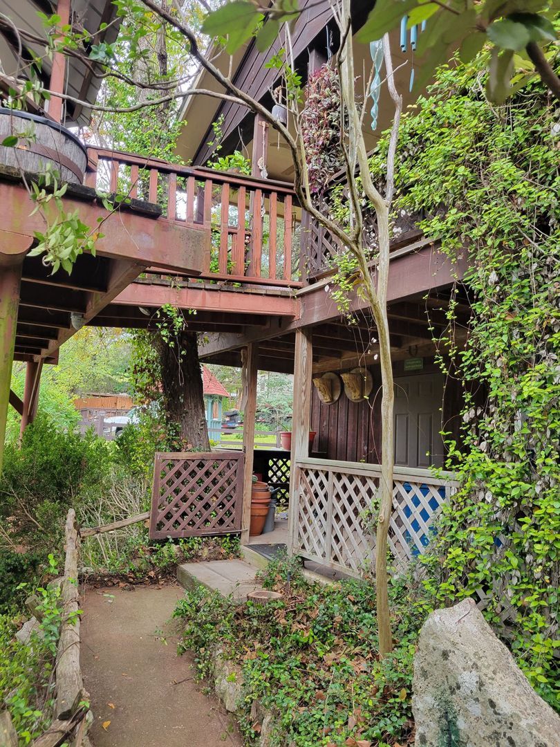 House With Tree — San Antonio, TX — Steel Roots Tree Services