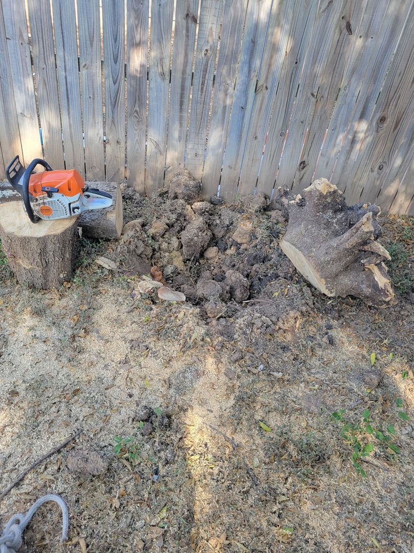 Tree Stump And Equipment — San Antonio, TX — Steel Roots Tree Services