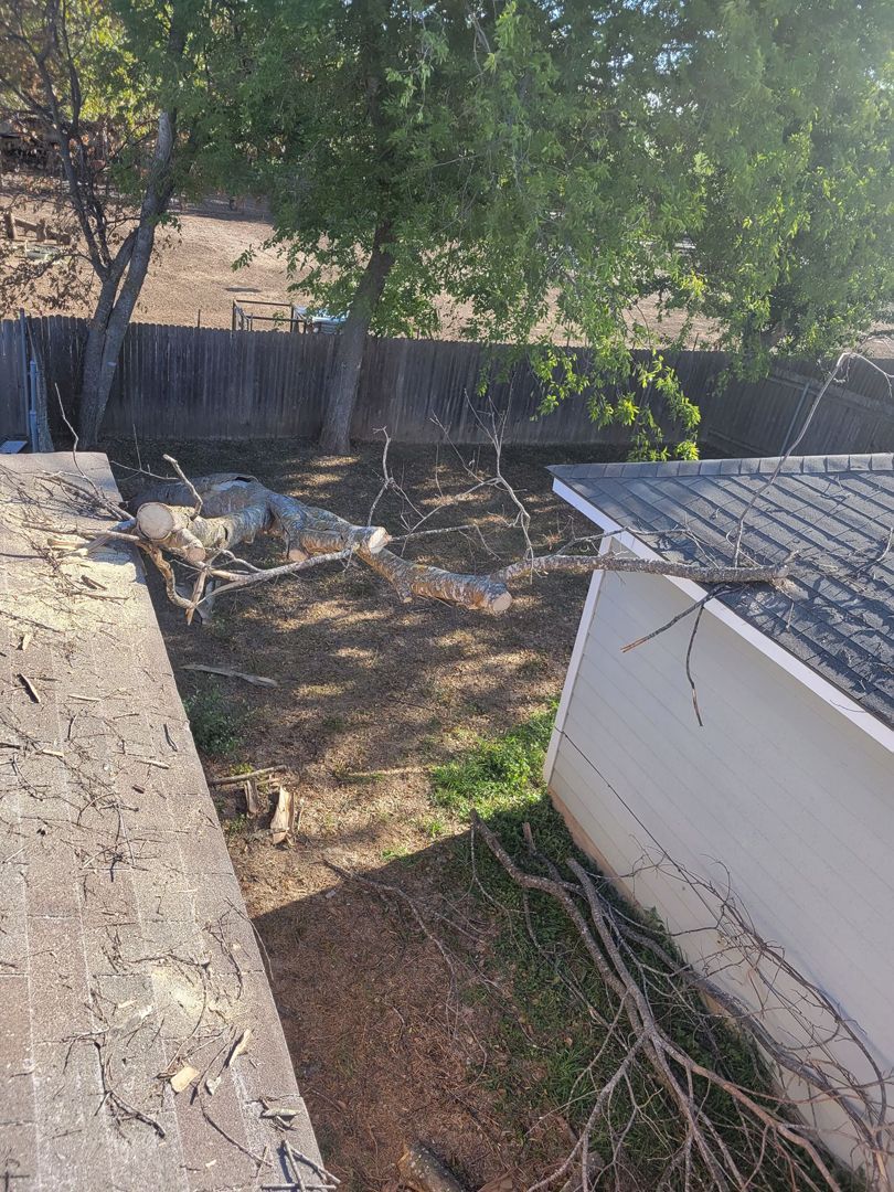 Branch On Roof — San Antonio, TX — Steel Roots Tree Services