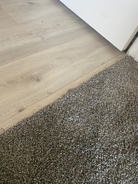 transition otay mesa carpet repairs and install  plush carpet