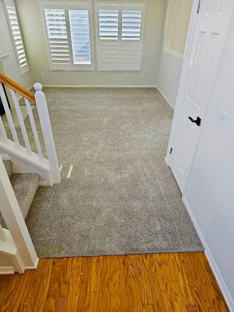 Otay Mesa ca carpet plush installation 