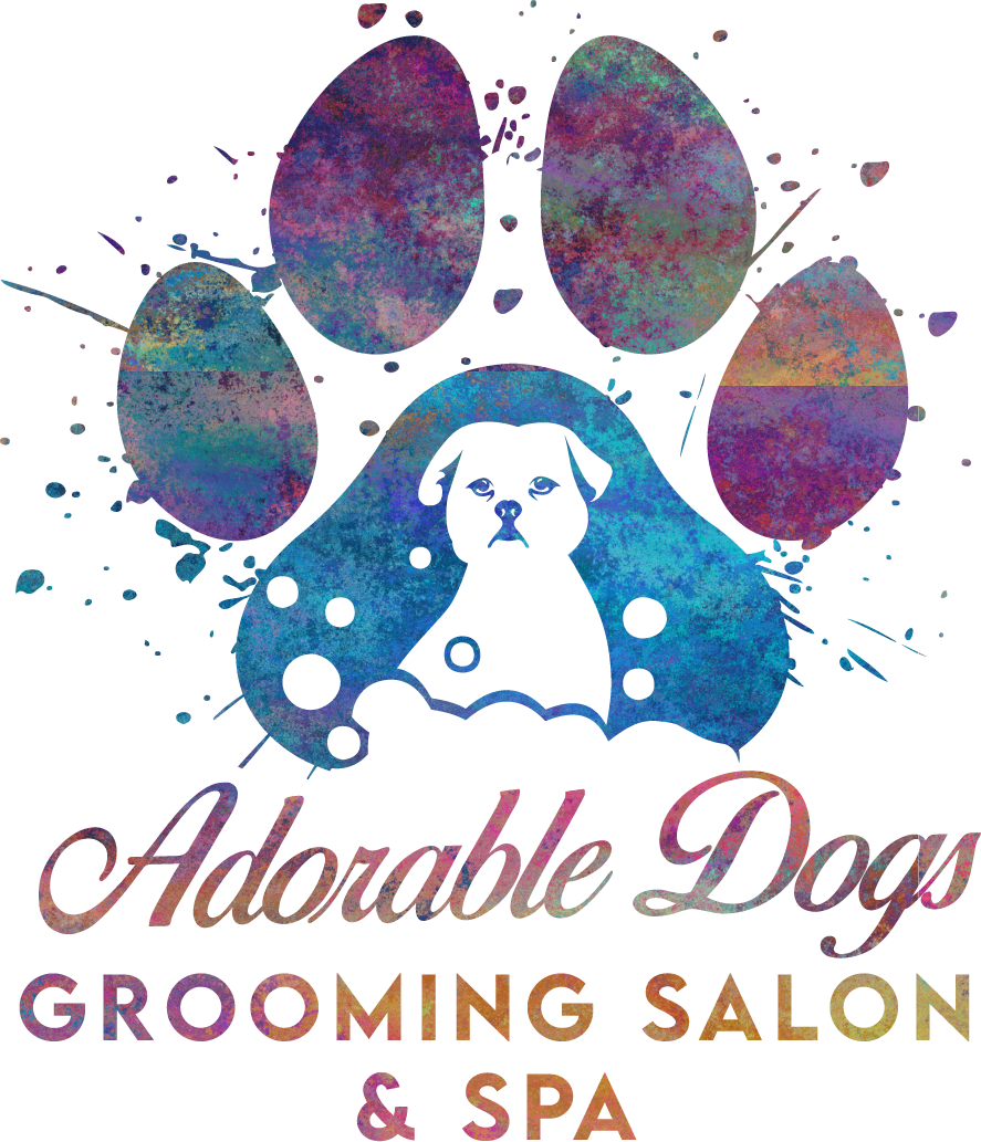 Adorable Dogs Grooming Salon