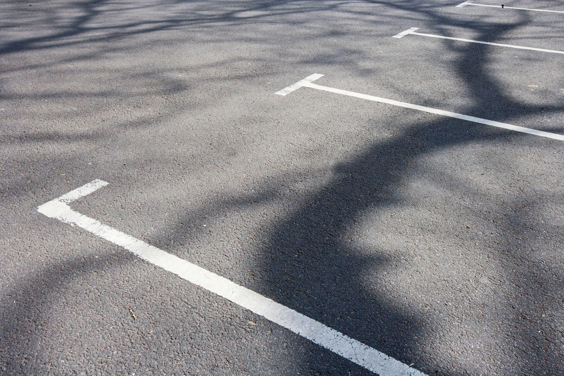 Clean parking lot pavement with painted white parking bays, with the light from the sun.