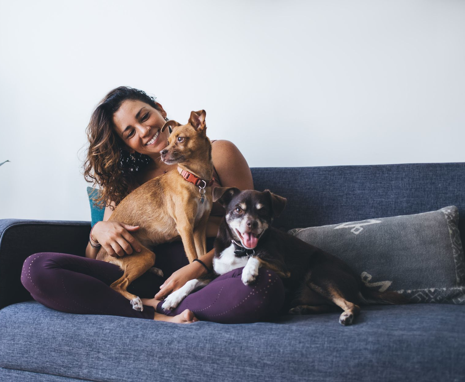 Woman on a blue couch cuddling two dogs; one brown, one black and white.